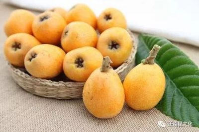 《寺外桃源講花卉》–福果枇杷送福利啦！