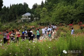 南部縣首屆微電影節(jié)開幕式精彩視頻，怎容錯過！