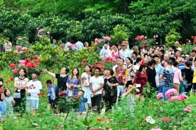 沸騰的小山村——伏虎寺外桃源，令人震撼的美！