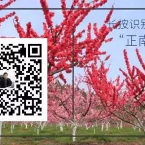 川北民間傳統(tǒng)文化紀(jì)錄片《川北舊事》第十七集 —《 打夯號(hào)子》